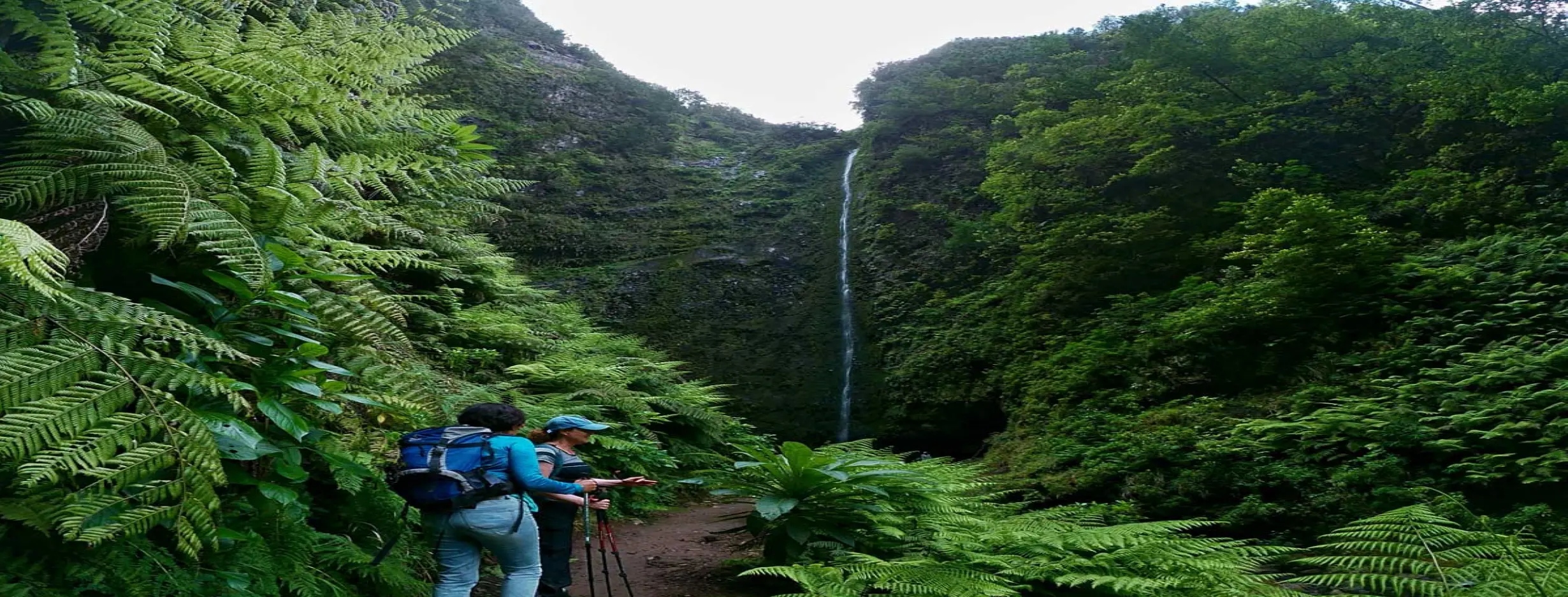 Image for Levada Walks